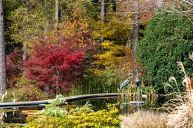 Fall landscape Fall landscape